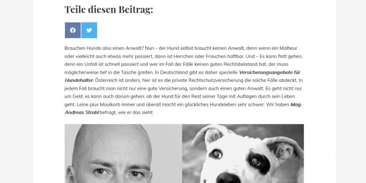 © DOGnews Rechtsanwalt Andreas Strobl Hundehaltung Tierhaltung Maulkorb Leine Hunde und Recht