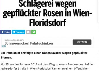 Österreich Schlägerei Anwalt Strobl Körperverletzung Gericht Rosenkavalier Strafverteidiger violence