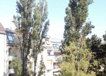 © Symbolbild Mietnomaden Verteidiger in Strafsachen attorney at law Rechtsanwalt Mag. Andreas Strobl lawyer schwerer Betrug