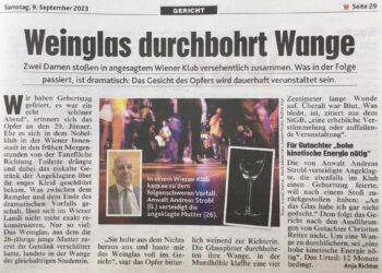 © Kronenzeitung Führerscheinentzug wegen Straftat