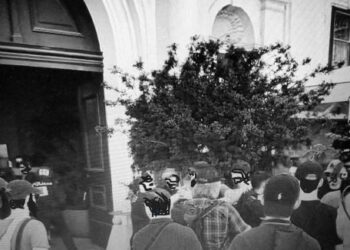 Widerstand gegen die Staatsgewalt