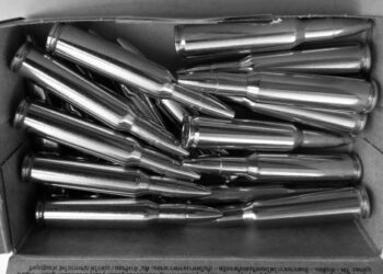 Symbolbild © Rechtsanwalt Mag. Andreas Strobl Waffenrecht Jagdrecht Tierschutzrecht